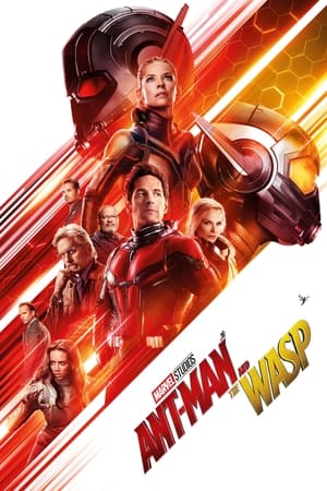 Ant Man and the Wasp (2018) Hindi Dual Audio | Hindi Dubbed Movie BluRay 350MB