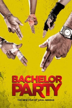 Bachelor Party (2012) (Hindi – Malayalam) Dual Audio | Hindi Dubbed Movie UnCut HDRip 400MB