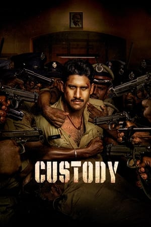 Custody 2023 Hindi (HQ-Dub) Dual Audio HDRip | Hindi Dubbed Movie – 480p