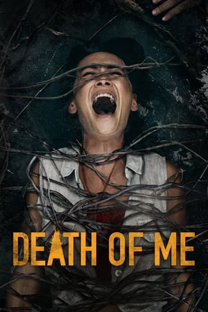 Death of Me (2020) Hindi Dual Audio | Hindi Dubbed Movie HDRip 300MB