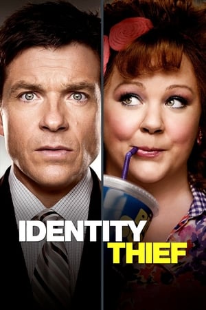 Identity Thief (2013) Hindi Dual Audio | Hindi Dubbed Movie BluRay 350MB