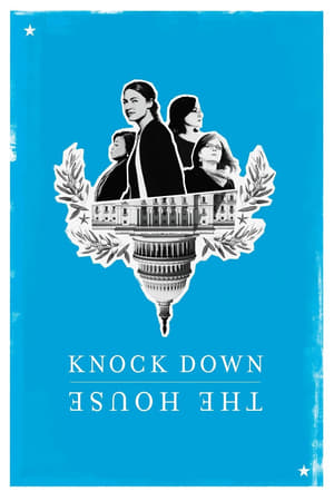 Knock Down the House (2019) Hindi Dual Audio | Hindi Dubbed Movie Web-DL 300MB