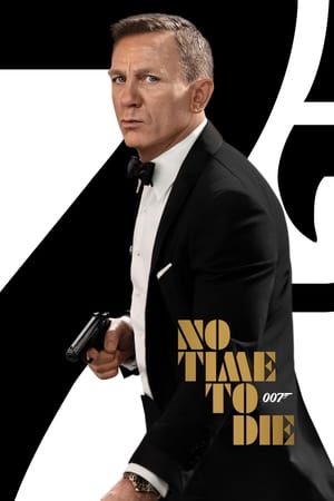 No Time To Die (2021) Hindi (ORG) Dual Audio HDRip | Hindi Dubbed Movie – 480p