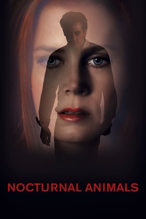 Nocturnal Animals (2016) Hindi Dual Audio | Hindi Dubbed Movie BluRay 380MB