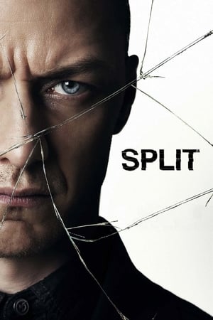 Split (2016) Hindi Dual Audio | Hindi Dubbed Movie BluRay 400MB