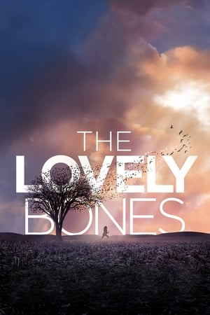 The Lovely Bones (2009) Hindi Dual Audio | Hindi Dubbed Movie BluRay 430MB
